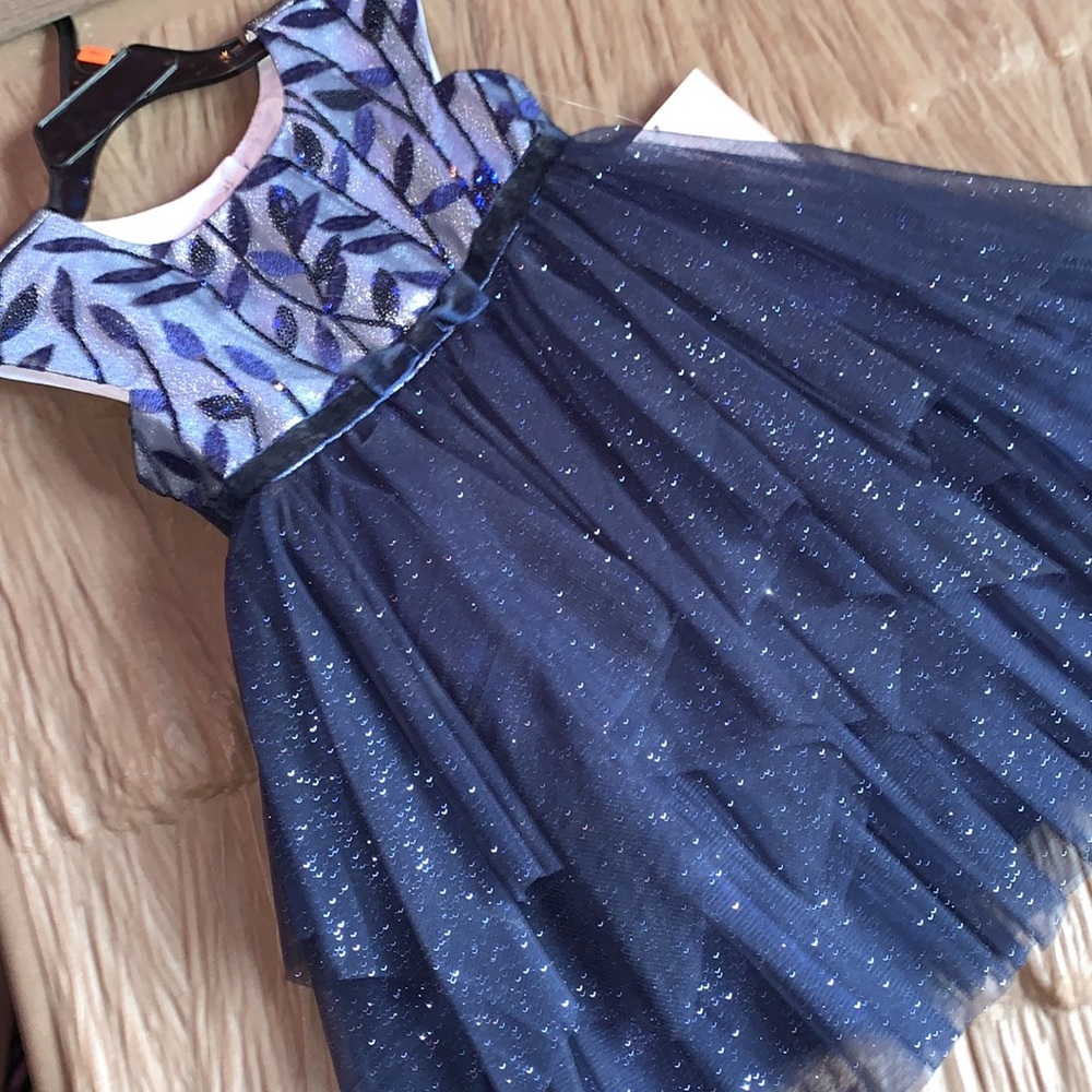 2T Navy dress